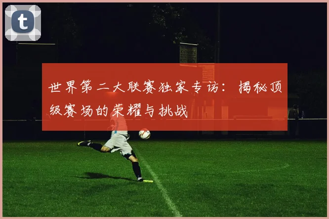 世界第二大联赛独家专访:揭秘顶级赛场的荣耀与挑战