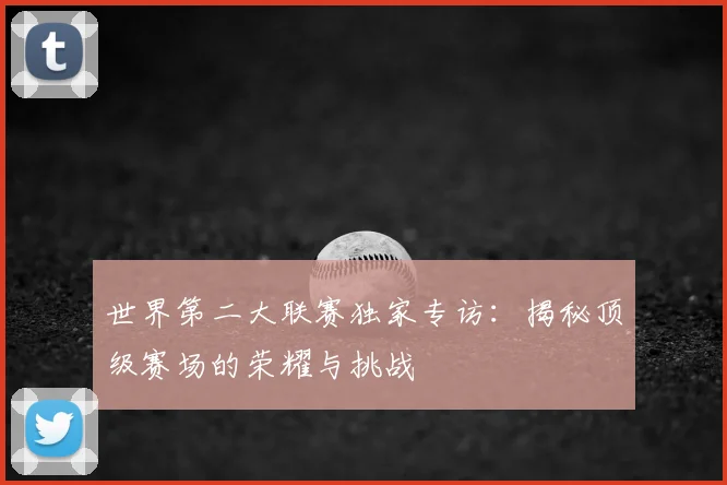 世界第二大联赛独家专访：揭秘顶级赛场的荣耀与挑战